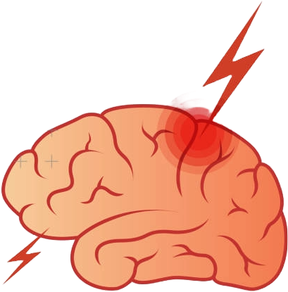 Brain Trauma Injury Foundation Model